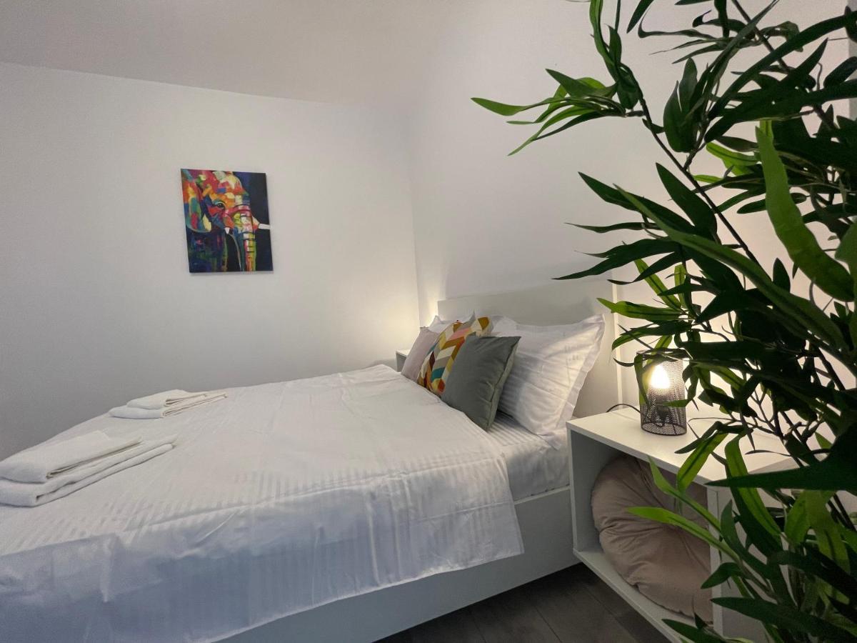Luxury Apartment Iasi Eksteriør bilde